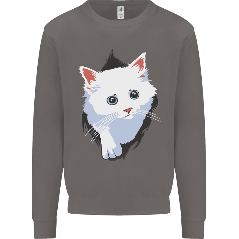 A Cat Rip Mens Sweatshirt Jumper Charcoal