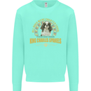 A Cavalier King Charles Spaniel Dog Kids Sweatshirt Jumper Peppermint
