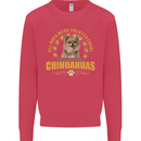 A Chihuahua Dog Kids Sweatshirt Jumper Heliconia