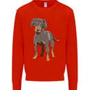 A Coonhound Dog Kids Sweatshirt Jumper Bright Red