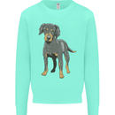 A Coonhound Dog Kids Sweatshirt Jumper Peppermint