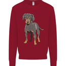 A Coonhound Dog Kids Sweatshirt Jumper Red