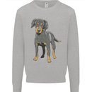 A Coonhound Dog Kids Sweatshirt Jumper Sports Grey