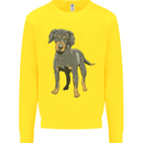 A Coonhound Dog Kids Sweatshirt Jumper Yellow