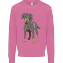 A Coonhound Dog Mens Sweatshirt Jumper Azalea