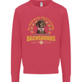 A Dachshund Dog Kids Sweatshirt Jumper Heliconia