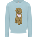 A Doodle Goldendoodle Dog Kids Sweatshirt Jumper Light Blue