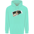 A Funny Cat Peeking From a Ripped Top Childrens Kids Hoodie Peppermint