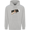 A Funny Cat Peeking From a Ripped Top Childrens Kids Hoodie Sports Grey