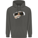 A Funny Cat Peeking From a Ripped Top Childrens Kids Hoodie Storm Grey