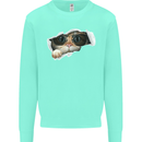A Funny Cat Peeking From a Ripped Top Kids Sweatshirt Jumper Peppermint