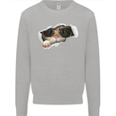 A Funny Cat Peeking From a Ripped Top Kids Sweatshirt Jumper Sports Grey