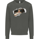 A Funny Cat Peeking From a Ripped Top Kids Sweatshirt Jumper Storm Grey