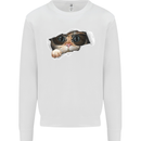 A Funny Cat Peeking From a Ripped Top Kids Sweatshirt Jumper White