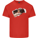 A Funny Cat Peeking From a Ripped Top Kids T-Shirt Childrens Red