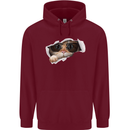 A Funny Cat Peeking From a Ripped Top Mens 80% Cotton Hoodie Maroon