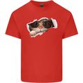 A Funny Cat Peeking From a Ripped Top Mens Cotton T-Shirt Tee Top Red