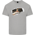 A Funny Cat Peeking From a Ripped Top Mens Cotton T-Shirt Tee Top Sports Grey