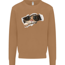 A Funny Cat Peeking From a Ripped Top Mens Sweatshirt Jumper Caramel Latte