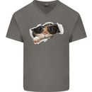 A Funny Cat Peeking From a Ripped Top Mens V-Neck Cotton T-Shirt Charcoal