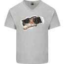 A Funny Cat Peeking From a Ripped Top Mens V-Neck Cotton T-Shirt Sports Grey