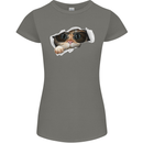 A Funny Cat Peeking From a Ripped Top Womens Petite Cut T-Shirt Charcoal
