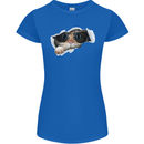 A Funny Cat Peeking From a Ripped Top Womens Petite Cut T-Shirt Royal Blue