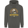 A Goldendoodle Dog Childrens Kids Hoodie Storm Grey