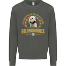 A Goldendoodle Dog Kids Sweatshirt Jumper Storm Grey