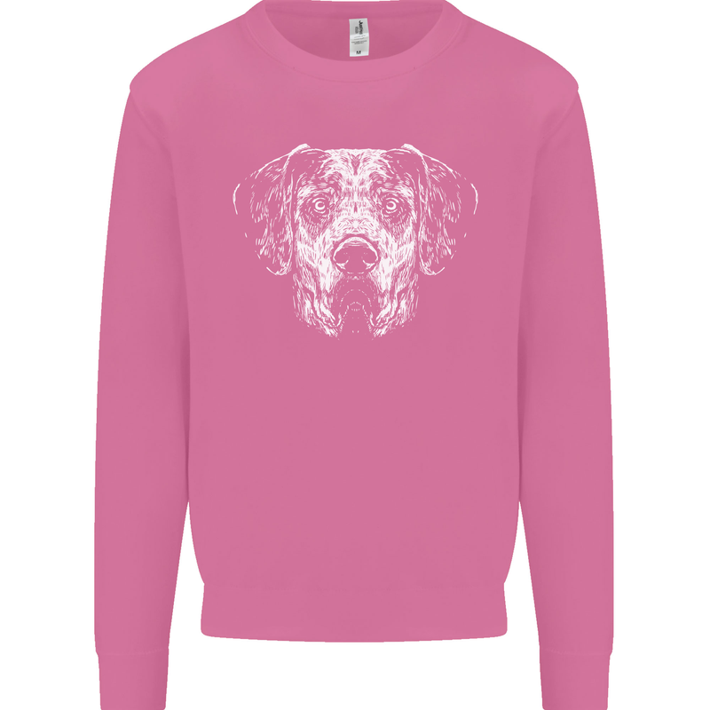 A Great Dane Dog Mens Sweatshirt Jumper Azalea