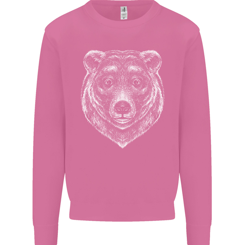 A Grizzly Bear Mens Sweatshirt Jumper Azalea