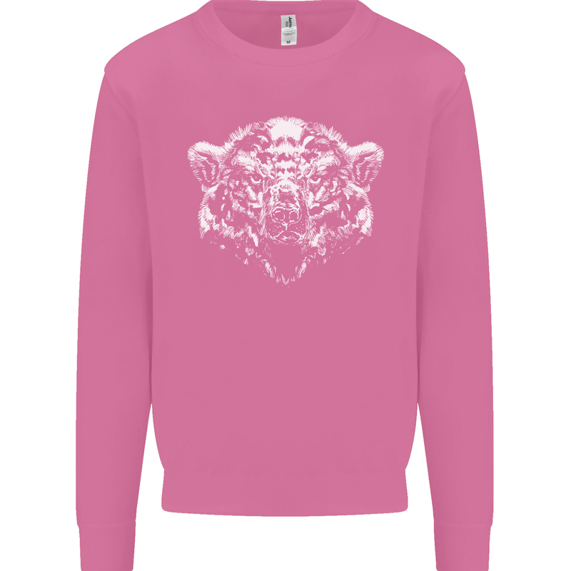 A Grizzly Polar Bear Mens Sweatshirt Jumper Azalea