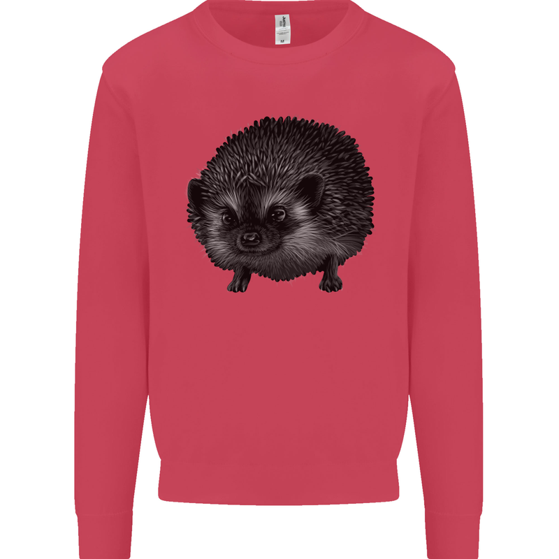 A Hedgehog Drawing Kids Sweatshirt Jumper Heliconia