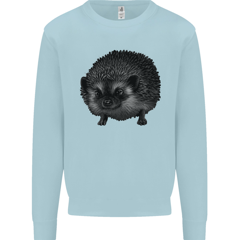 A Hedgehog Drawing Kids Sweatshirt Jumper Light Blue