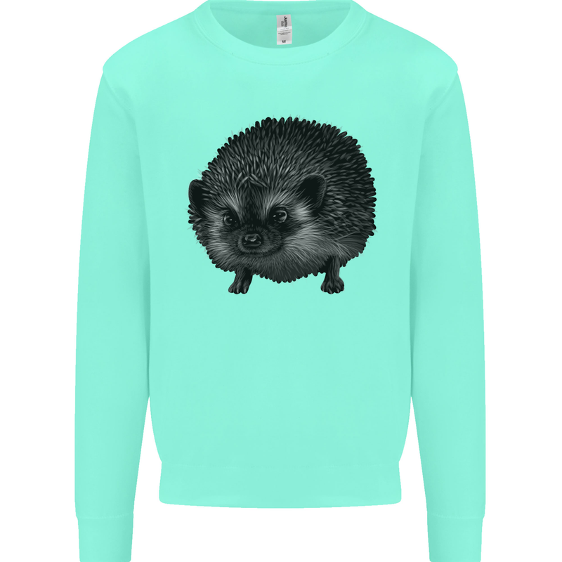 A Hedgehog Drawing Kids Sweatshirt Jumper Peppermint