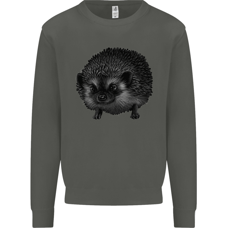 A Hedgehog Drawing Kids Sweatshirt Jumper Storm Grey