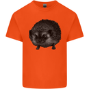A Hedgehog Drawing Kids T-Shirt Childrens Orange