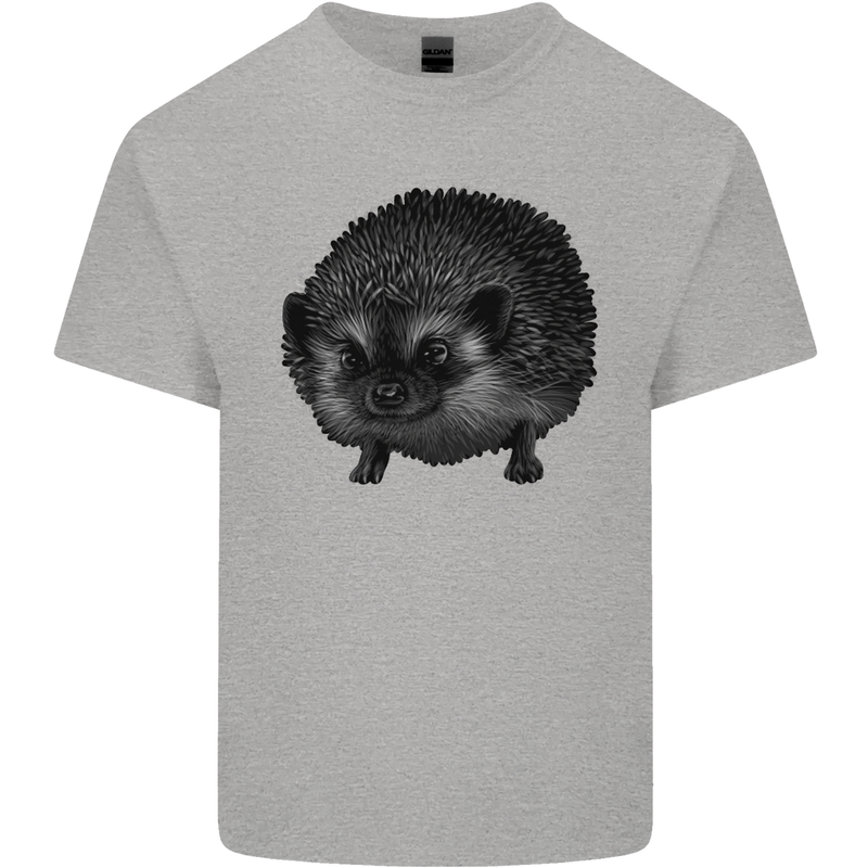 A Hedgehog Drawing Kids T-Shirt Childrens Sports Grey