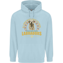 A Labrador Dog Childrens Kids Hoodie Light Blue