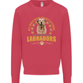 A Labrador Dog Kids Sweatshirt Jumper Heliconia
