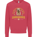 A Labrador Dog Kids Sweatshirt Jumper Heliconia