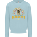 A Labrador Dog Kids Sweatshirt Jumper Light Blue