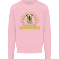 A Labrador Dog Kids Sweatshirt Jumper Light Pink