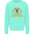 A Labrador Dog Kids Sweatshirt Jumper Peppermint