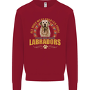 A Labrador Dog Kids Sweatshirt Jumper Red
