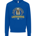 A Labrador Dog Kids Sweatshirt Jumper Royal Blue