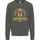 A Labrador Dog Kids Sweatshirt Jumper Storm Grey