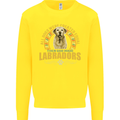 A Labrador Dog Kids Sweatshirt Jumper Yellow