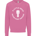 A Little Head Funny Offensive Slogan Mens Sweatshirt Jumper Azalea