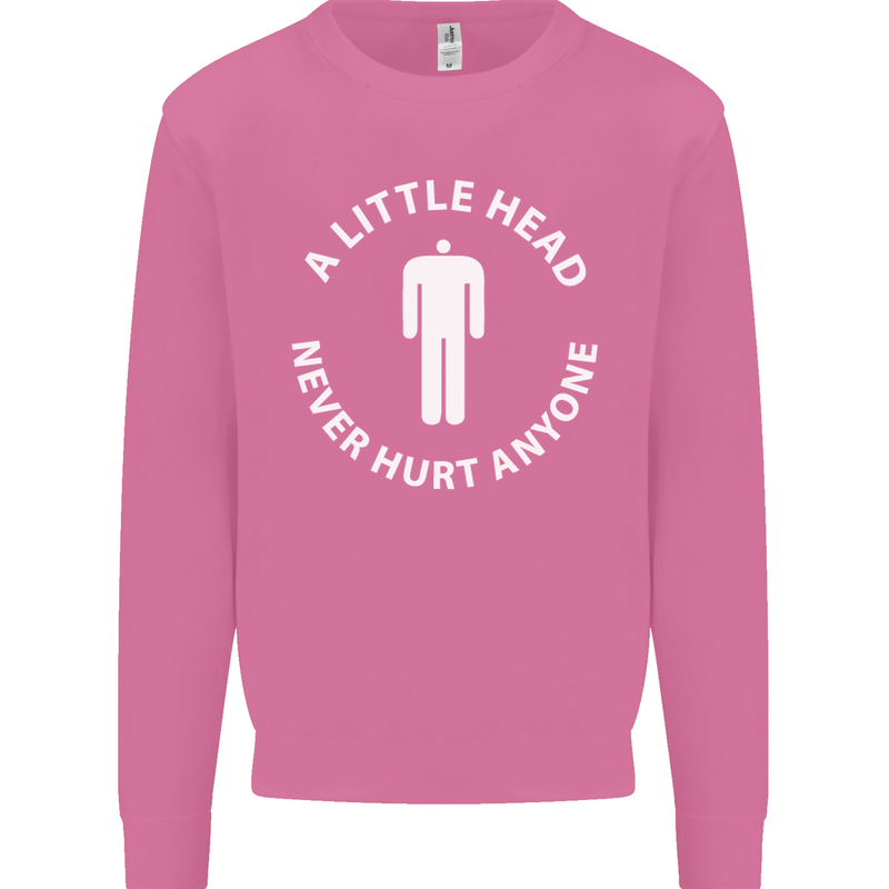A Little Head Funny Offensive Slogan Mens Sweatshirt Jumper Azalea